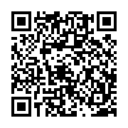 QR code for DPP4966