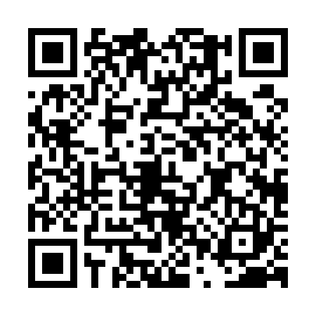 QR code for DPP5236
