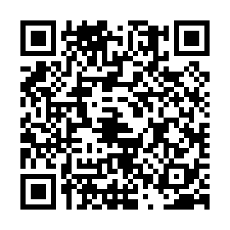 QR code for DPR0383
