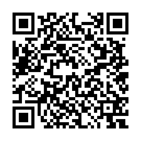 QR code for DQG4229