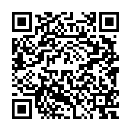 QR code for DQL4133