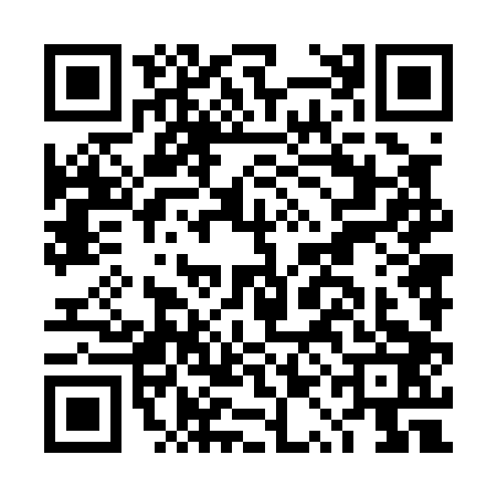 QR code for DQN0038