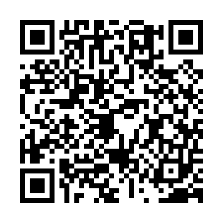 QR code for DQY0533