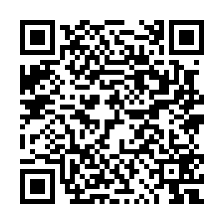 QR code for DRI0595