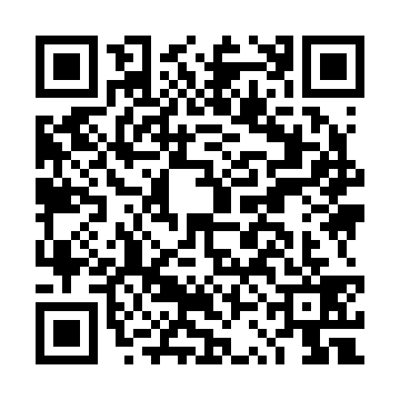 QR code for DSI2391