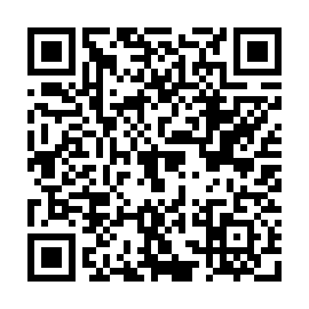 QR code for DSI6313