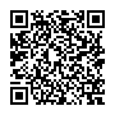 QR code for DSI9166
