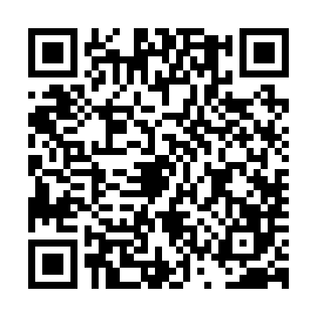 QR code for DSR2863