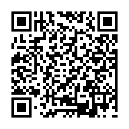 QR code for DSR2868