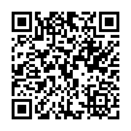 QR code for DSX6330