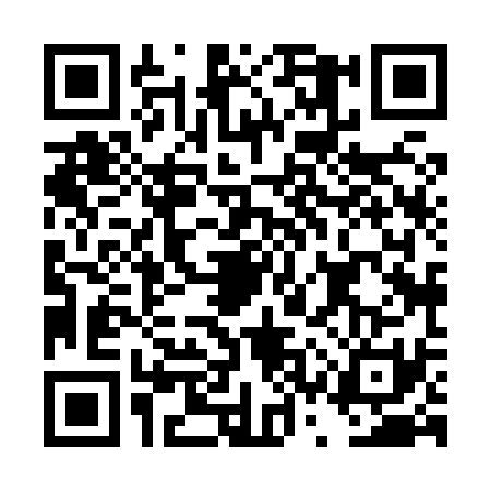 QR code for DSX8311