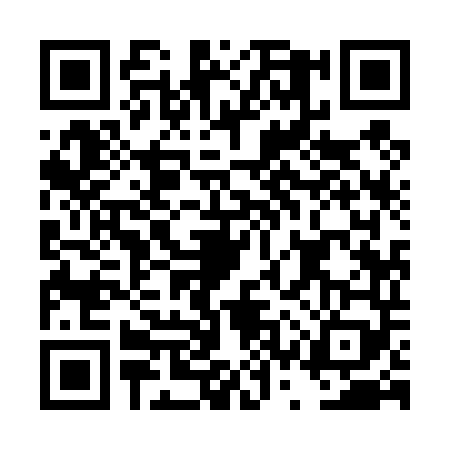 QR code for DSY4493