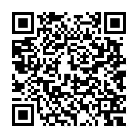 QR code for DUT4237