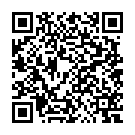 QR code for DVR4161