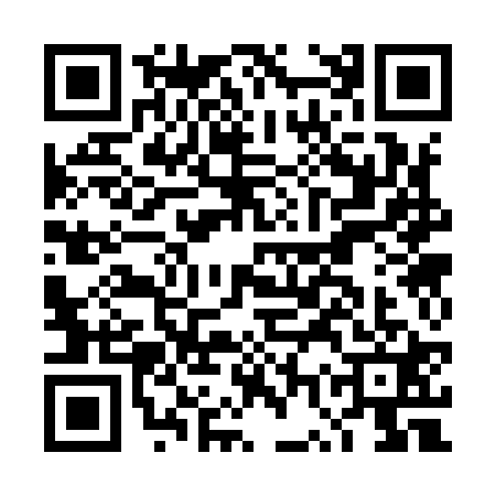 QR code for DWS9217