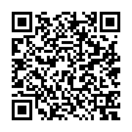 QR code for DYE1300