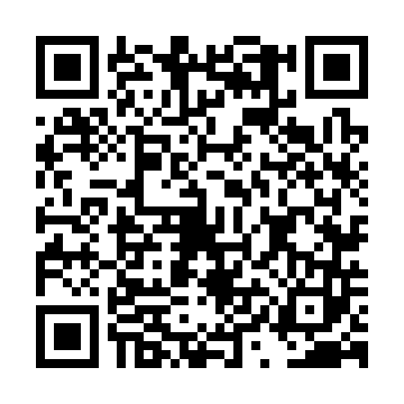 QR code for DYN3438