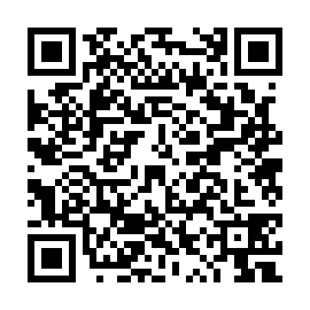 QR code for DYR1383
