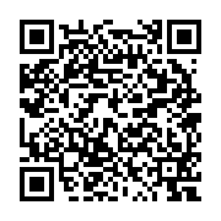QR code for DYS2933
