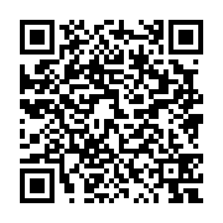 QR code for DYX0393