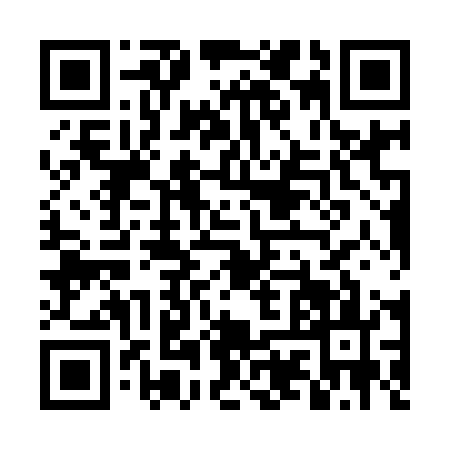 QR code for DYX9038