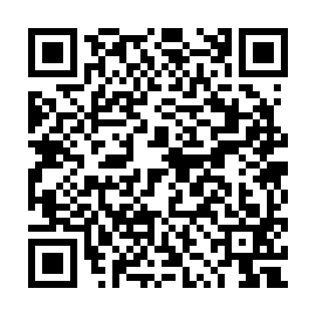 QR code for DZC2938