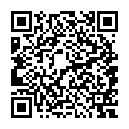 QR code for DZF2919