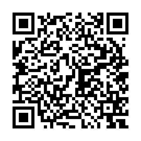 QR code for DZG2656