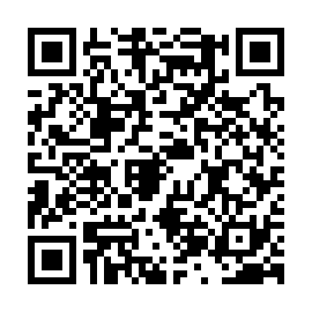 QR code for DZG3313