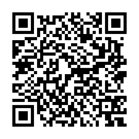 QR code for DZI4745