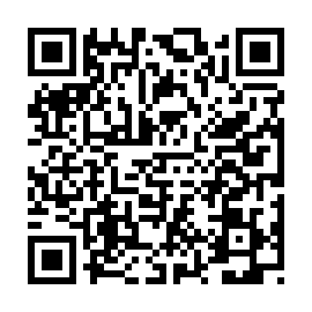 QR code for DZT1299