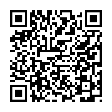 QR code for DZT6594
