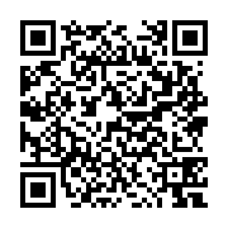 QR code for DZY7787