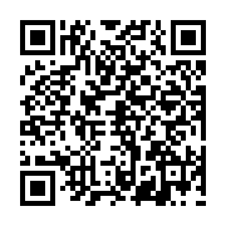 QR code for DZZ2905