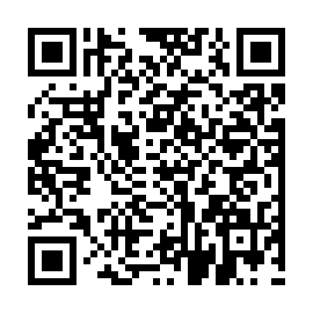 QR code for EFF3311