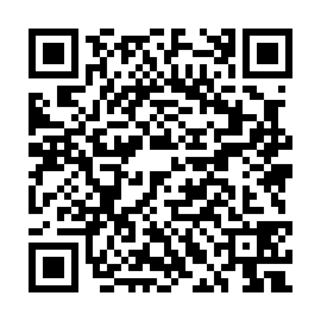 QR code for ELM0380