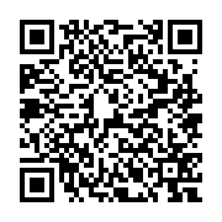 QR code for EMJ3771