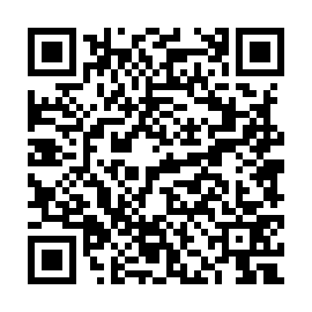 QR code for FJD9738