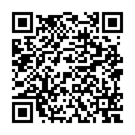 QR code for FLY3958