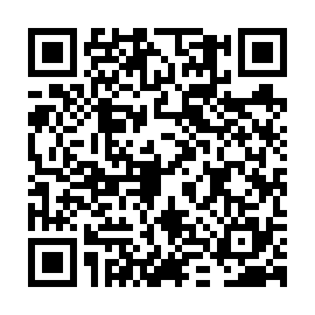 QR code for FLY6351