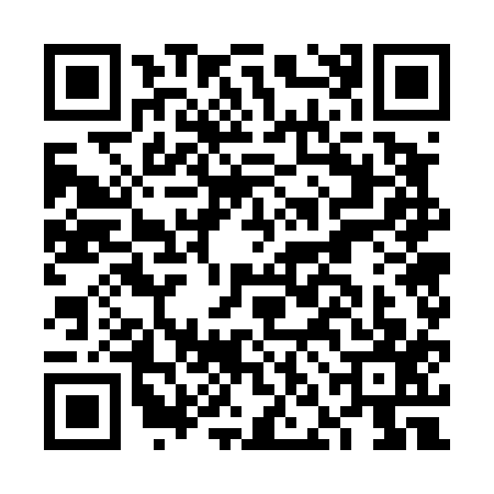 QR code for FNG4179