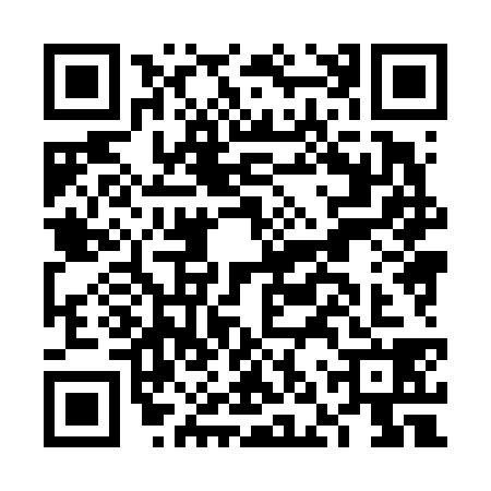 QR code for FNX6387