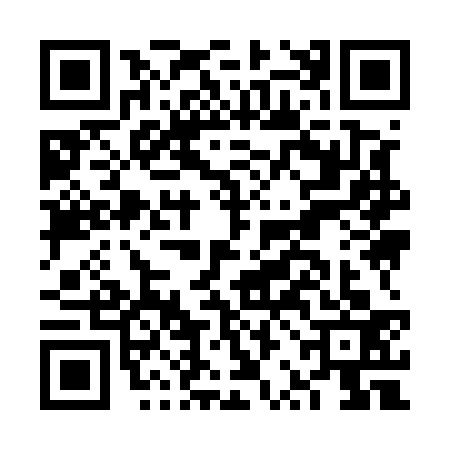 QR code for FRI5335