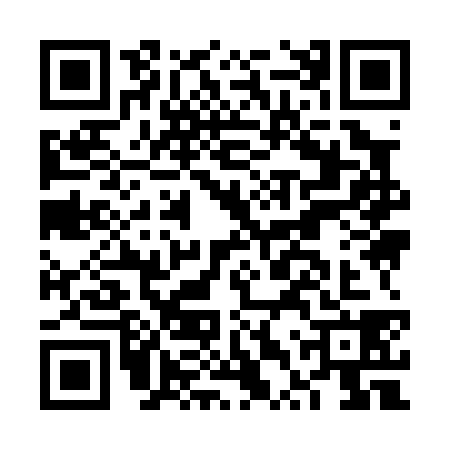 QR code for FTY0383