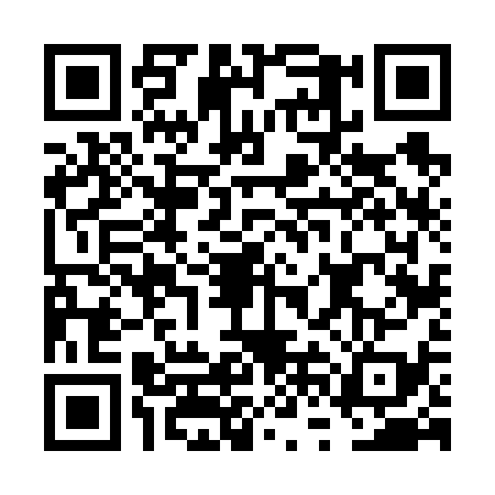 QR code for FVF6393