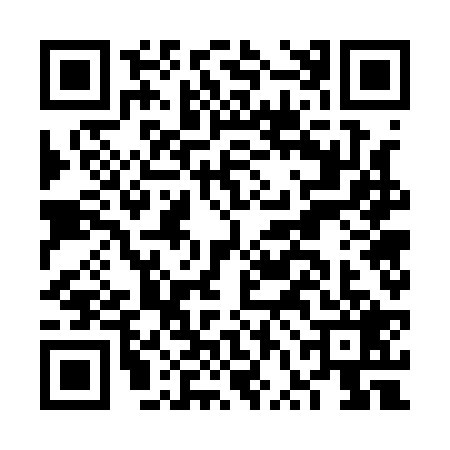 QR code for FVG1295