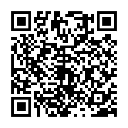 QR code for FVO4383