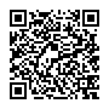 QR code for FZG0381