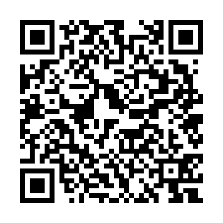 QR code for GCG6313