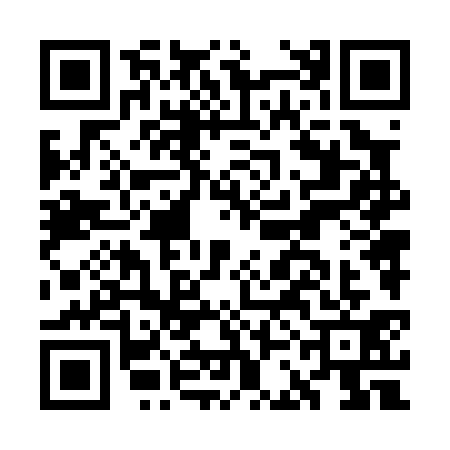 QR code for GCN0313